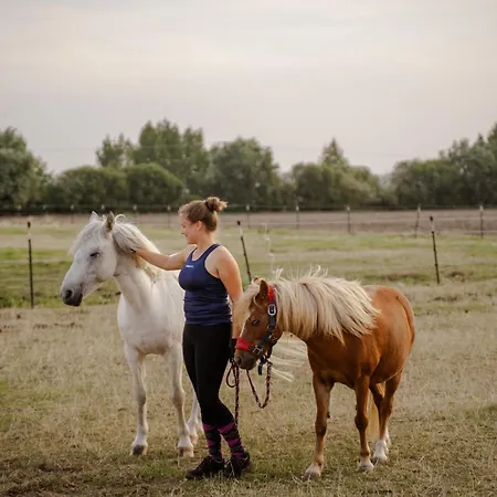 公寓 Inselhaus Og Staberdorf