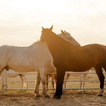 Inselhaus Og Διαμέρισμα