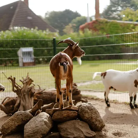 Διαμέρισμα Inselhaus Og