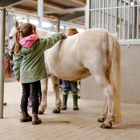 Inselhaus Og Διαμέρισμα *