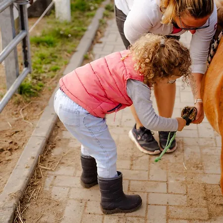 公寓 Inselhaus Og *