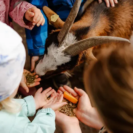 Inselhaus Og Διαμέρισμα Staberdorf
