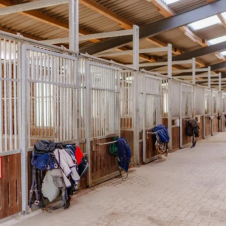 Inselhaus Og * Staberdorf