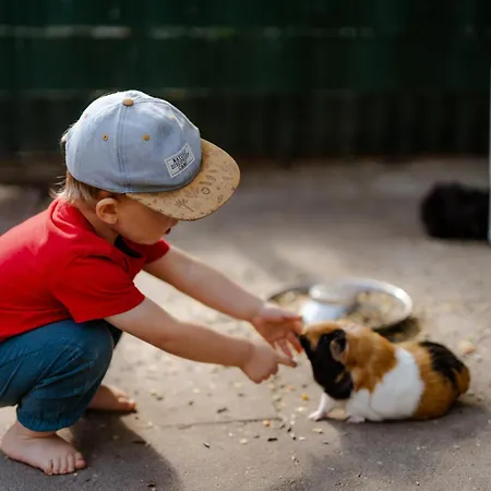 Inselhaus Og Διαμέρισμα