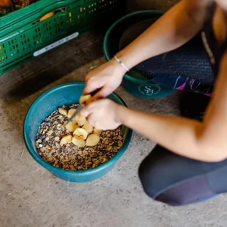 Inselhaus Og * Staberdorf